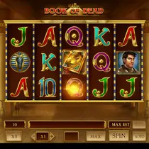 Corgibet - Book of Dead Slot Game - Play'n GO Pokie